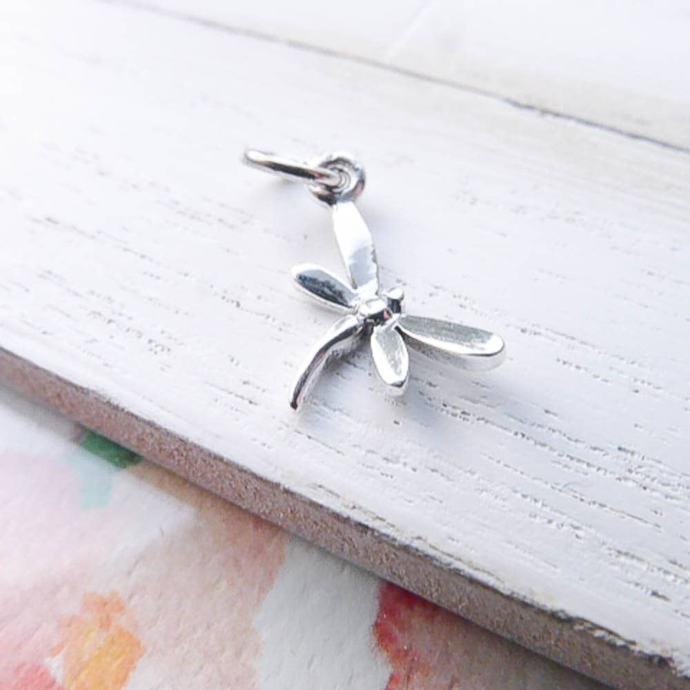 Store Dragonfly Sterling Silver Charm