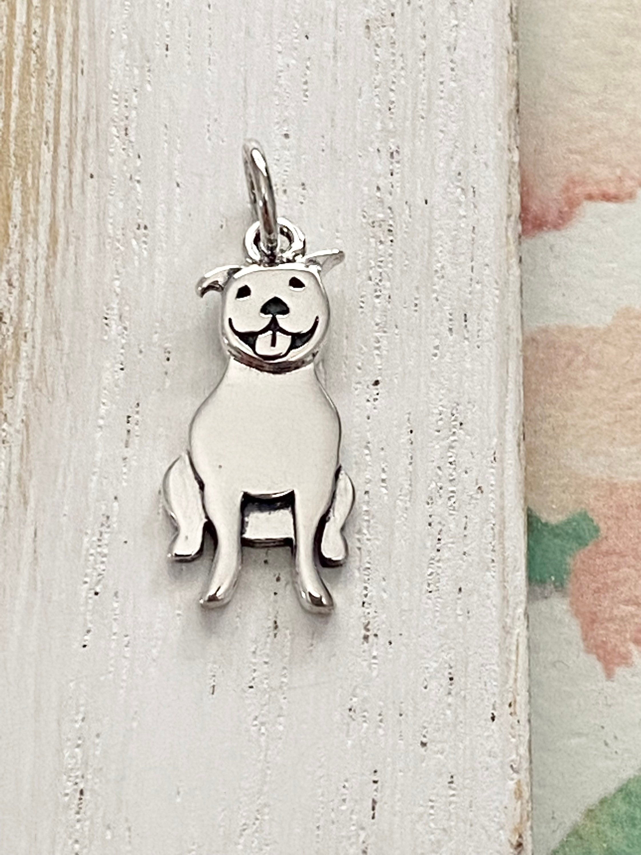 Sterling Silver Pitbull Dog Necklace, Dog Lover Gift, Pit Bull Owner Gift,  Dog Mom Necklace, Animal Lover Jewelry, Pet Charm - Etsy
